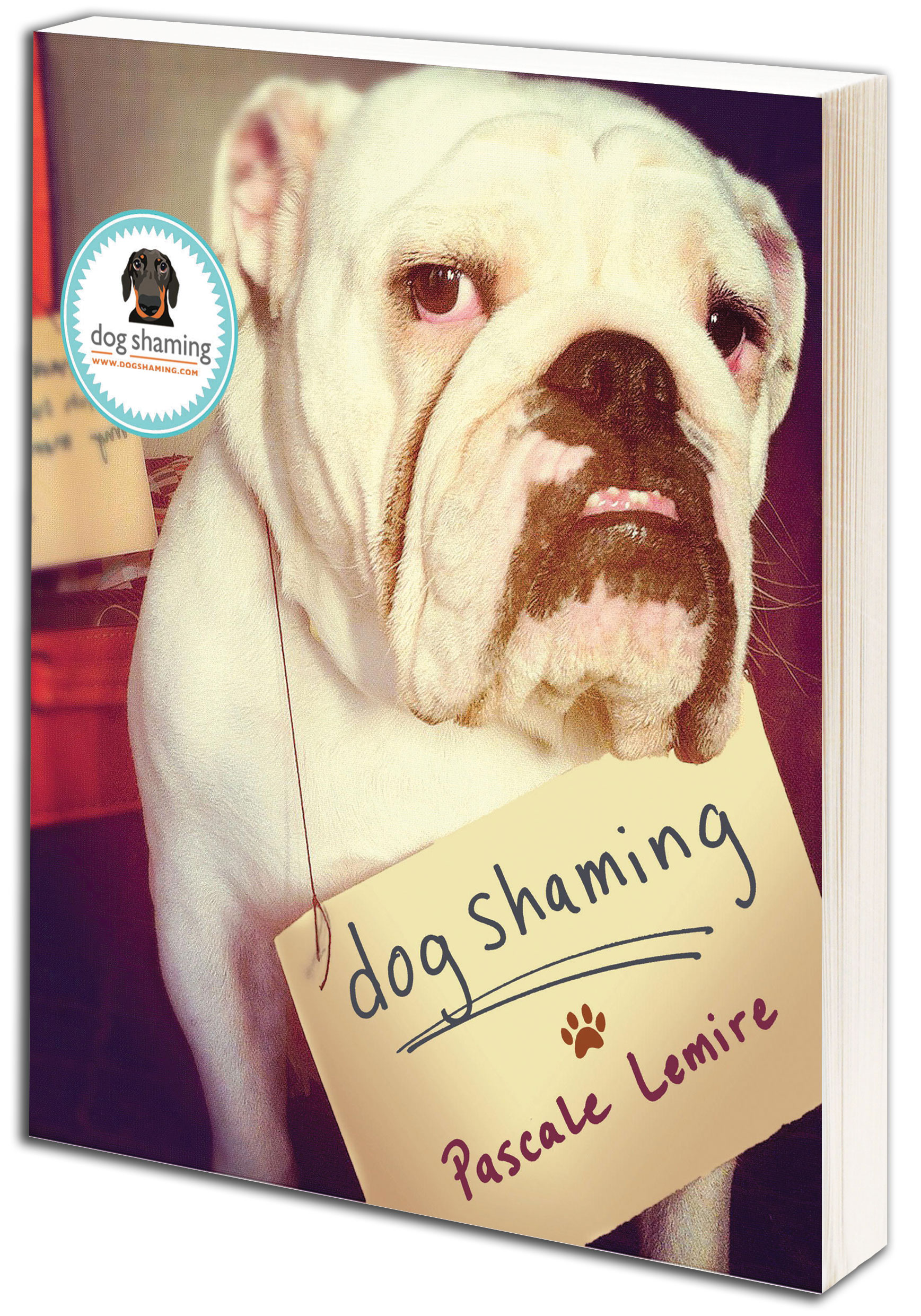  dog shaming 