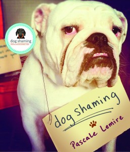Dog Shaming 2021 Day-To-Day Calendar by dogshaming.com and Pascale Lemire for sale online 2020, Calendar 