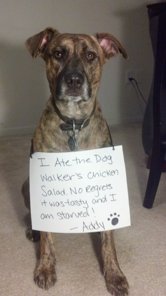 Addy-Shaming