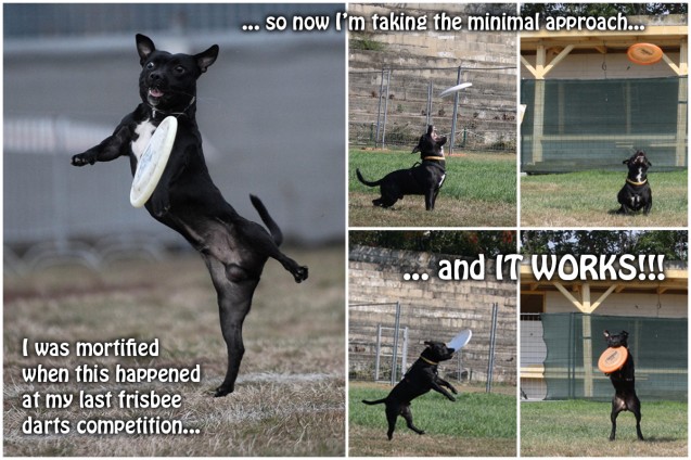Frisbee-slacker