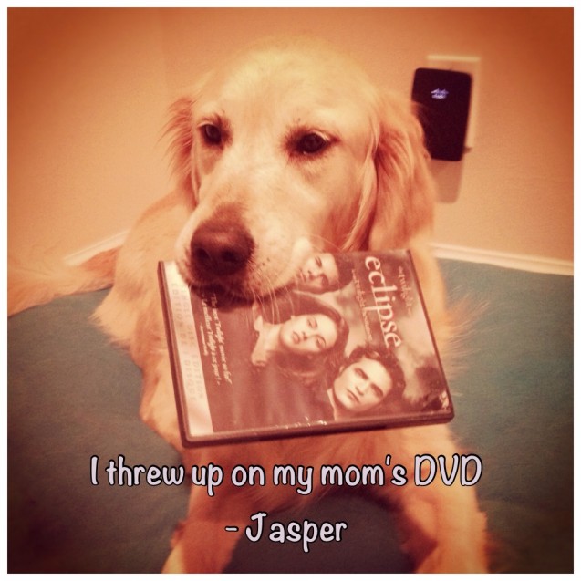 Jasper