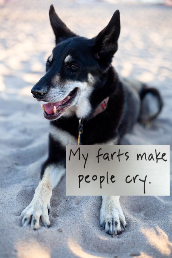 vixenshaming1