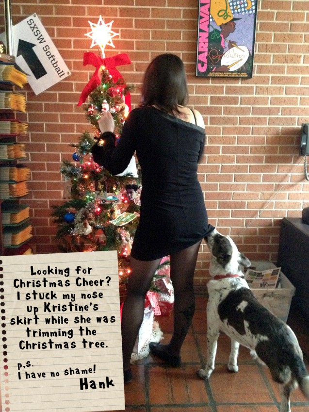 Christmas Goose - Dogshaming