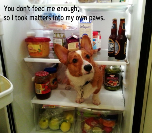 Watson-in-fridge