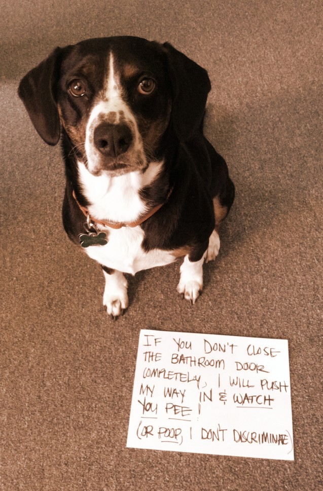 henry-shaming