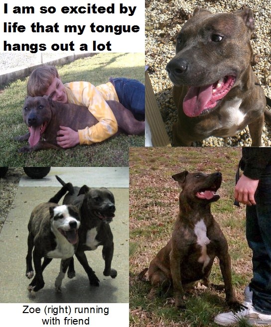 image364