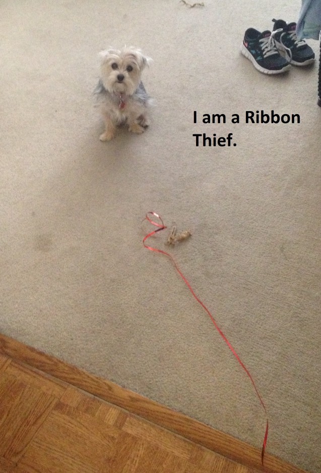 ribbon-thief
