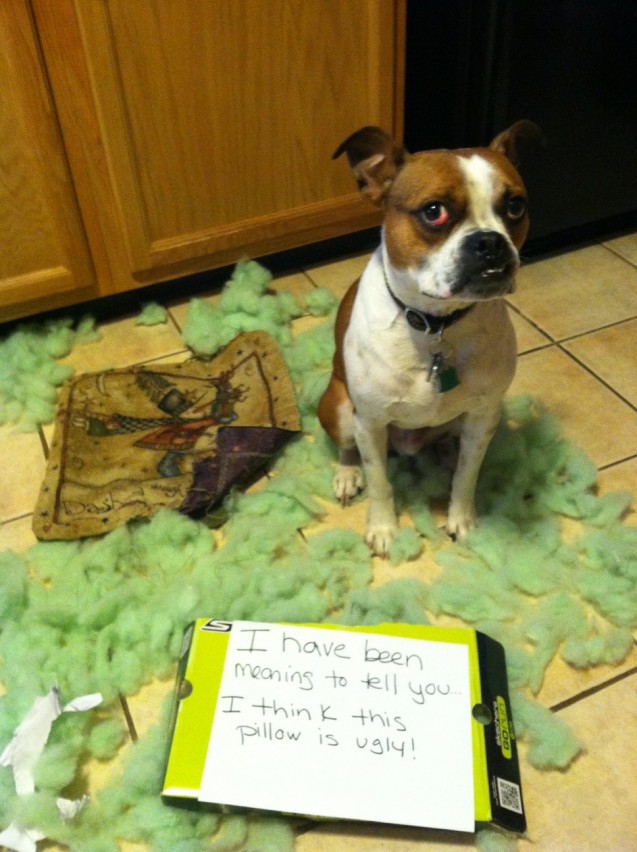 Butters-Shaming