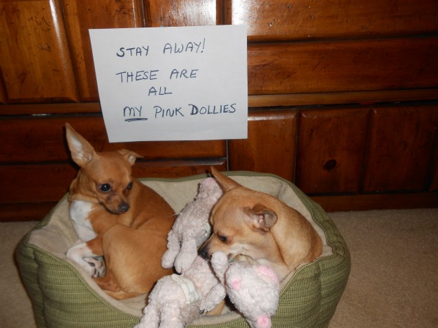 My-Pink-Dollies