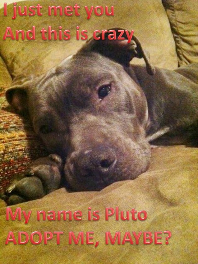 PLUTO