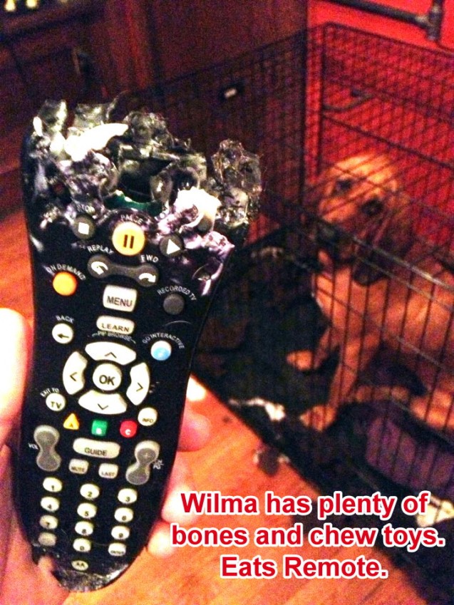 Wilma-Remote