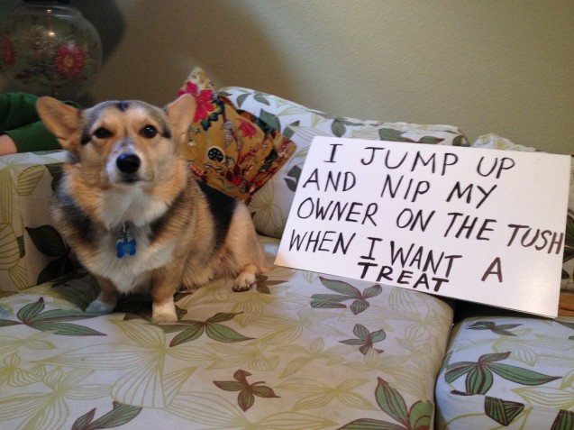 kona-shaming