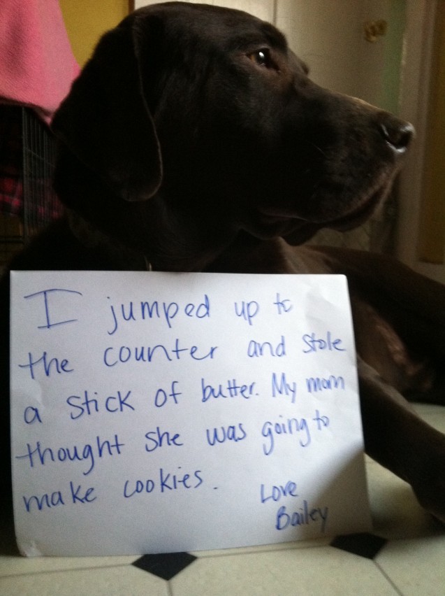 shaming