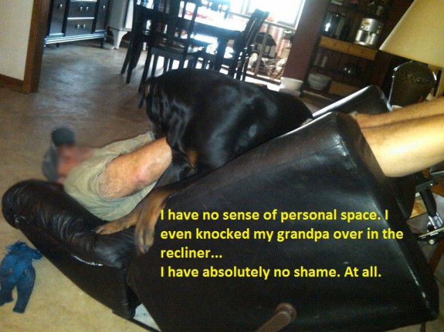 Bo-and-Dad-DogShaming2