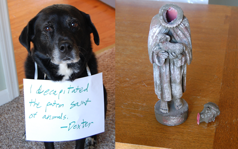 St. Francis is Not Amused - Dogshaming