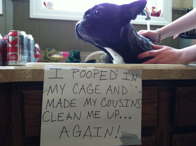 Lela-DogShaming