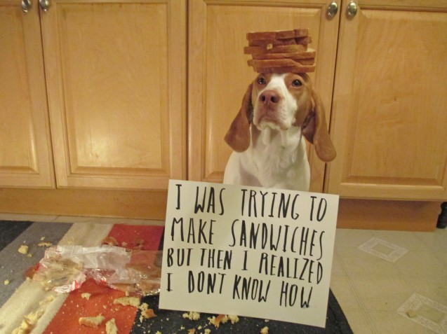 MaymoBreadShaming0001