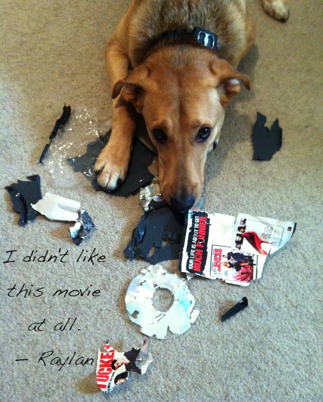 Raylan-Dog-Shaming