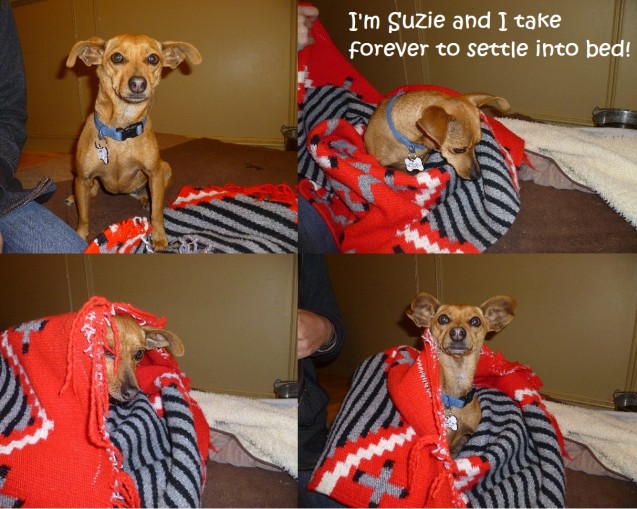 Suzies-Blankie-Text