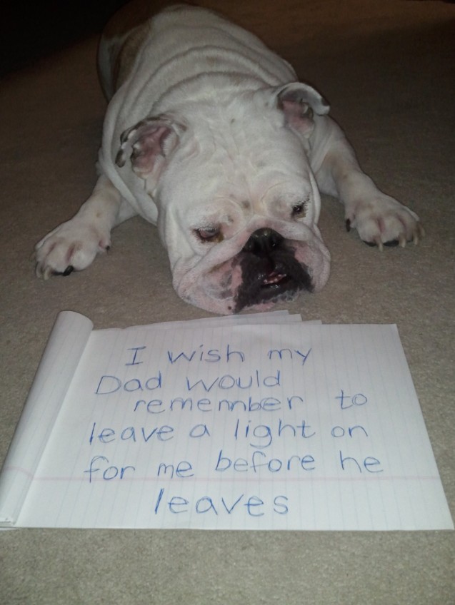 owner-shaming