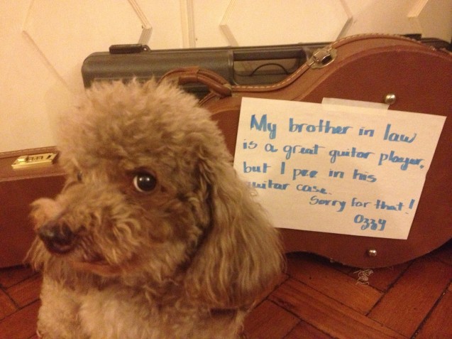 ozzyshaming01