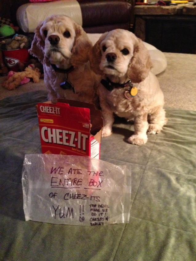 CHEEZ-ITS-YUM