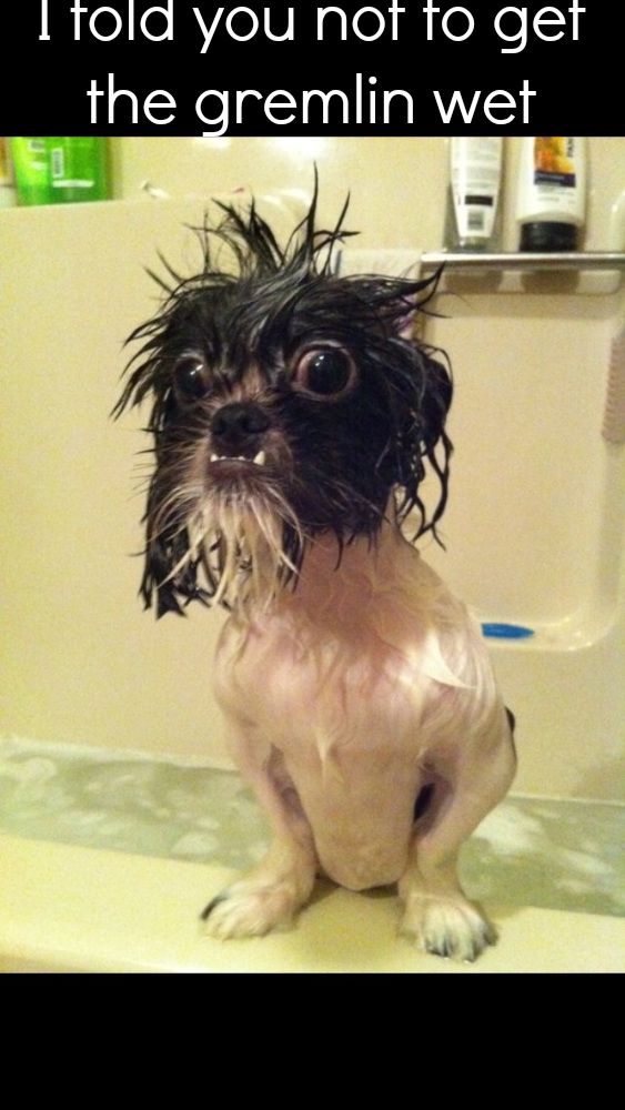beau hates baths.jpg