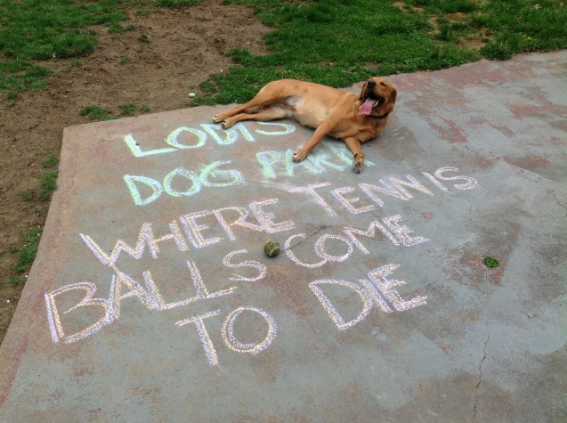 image338