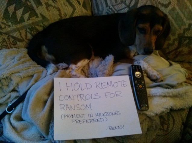 benny-shaming-remote