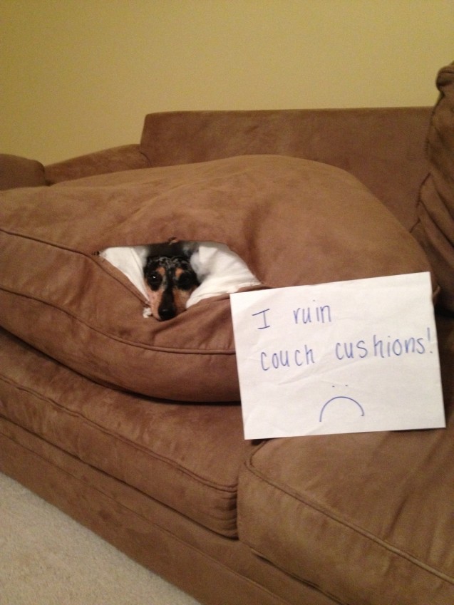 Couch-Potato