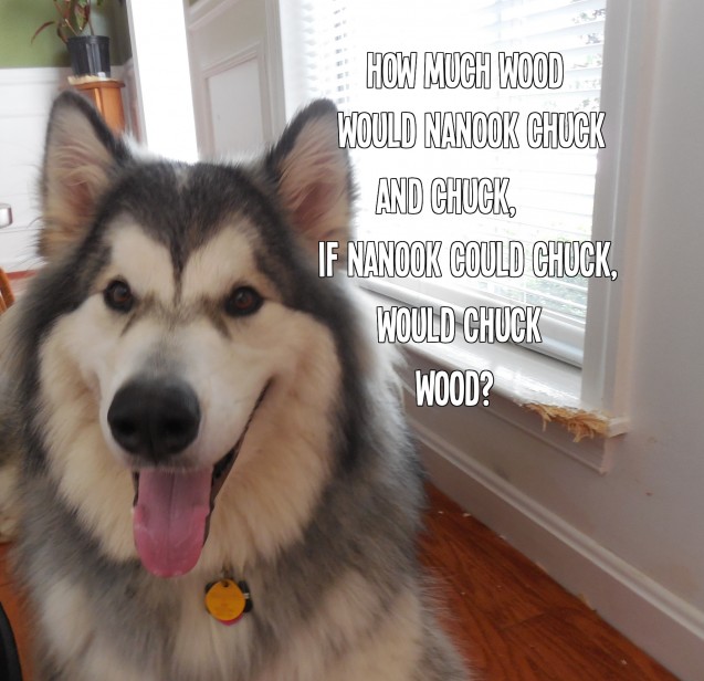 Answer: He'd chuck it all! - Dogshaming