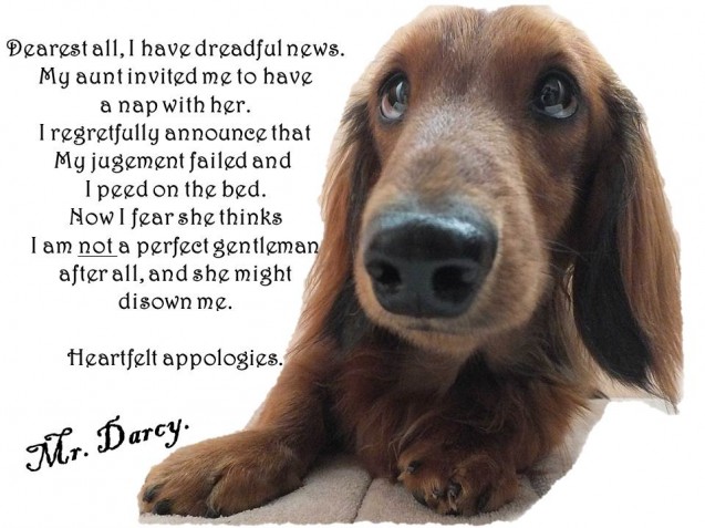 mr-darcy-shaming