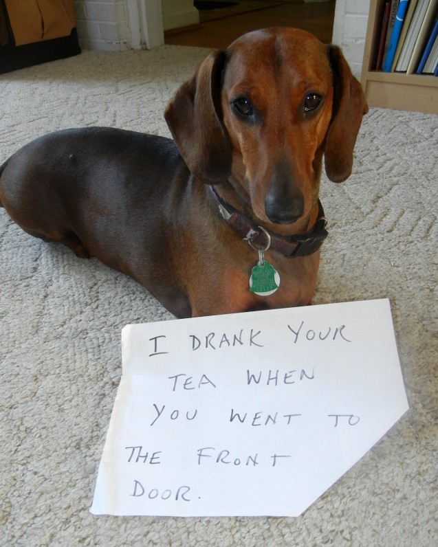 Pennyshaming