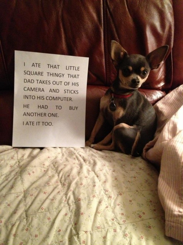 Bella-with-her-sign