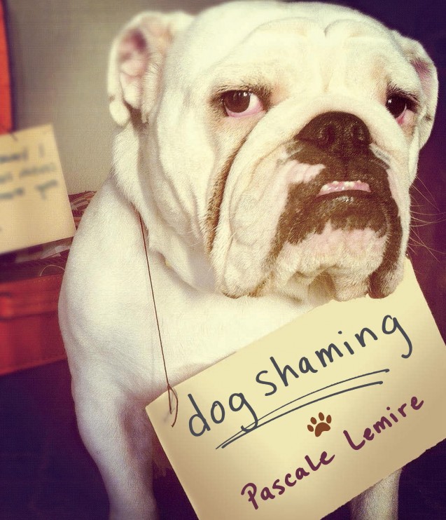 Dog Shaming cover