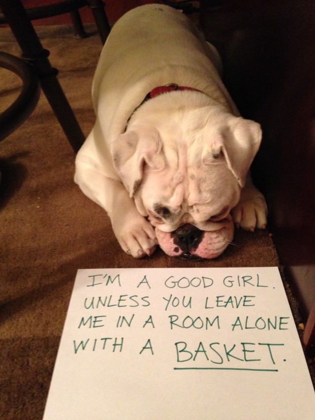 Layla-Shaming