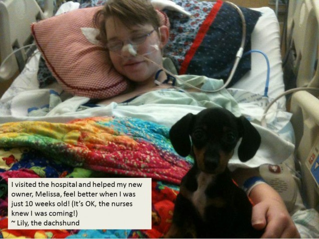 Lily-and-Melissa-in-the-hospital-for-Dogshaming