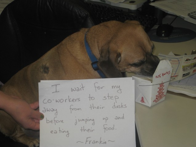 Dog-Shaming