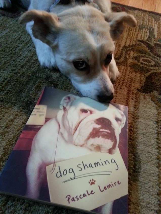 Sparky-Dog-Shaming-Book
