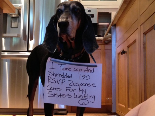 Tanner-Shaming-1