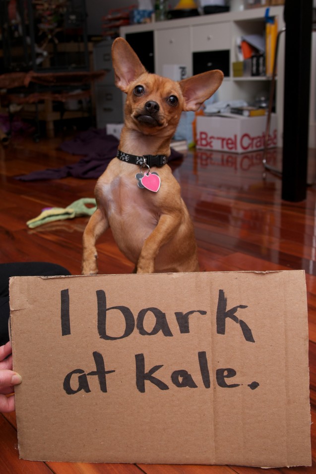 I-bark-at-kale