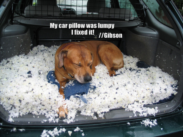 My-carpillow-was-lumpy-I-fixed-it