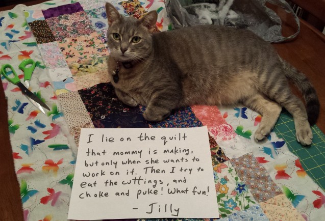 Jilly-Shamed