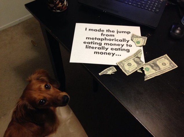 dogshaming1