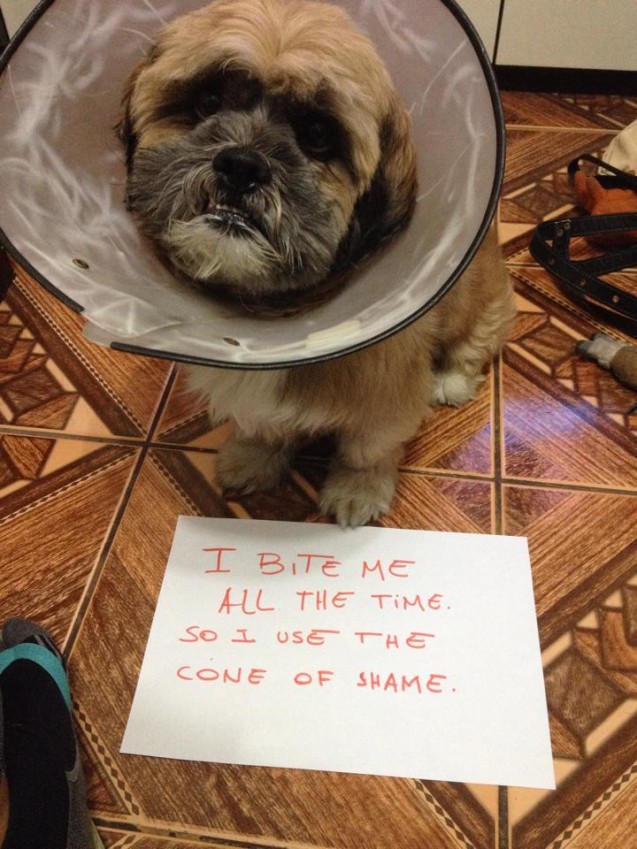 coneofshame