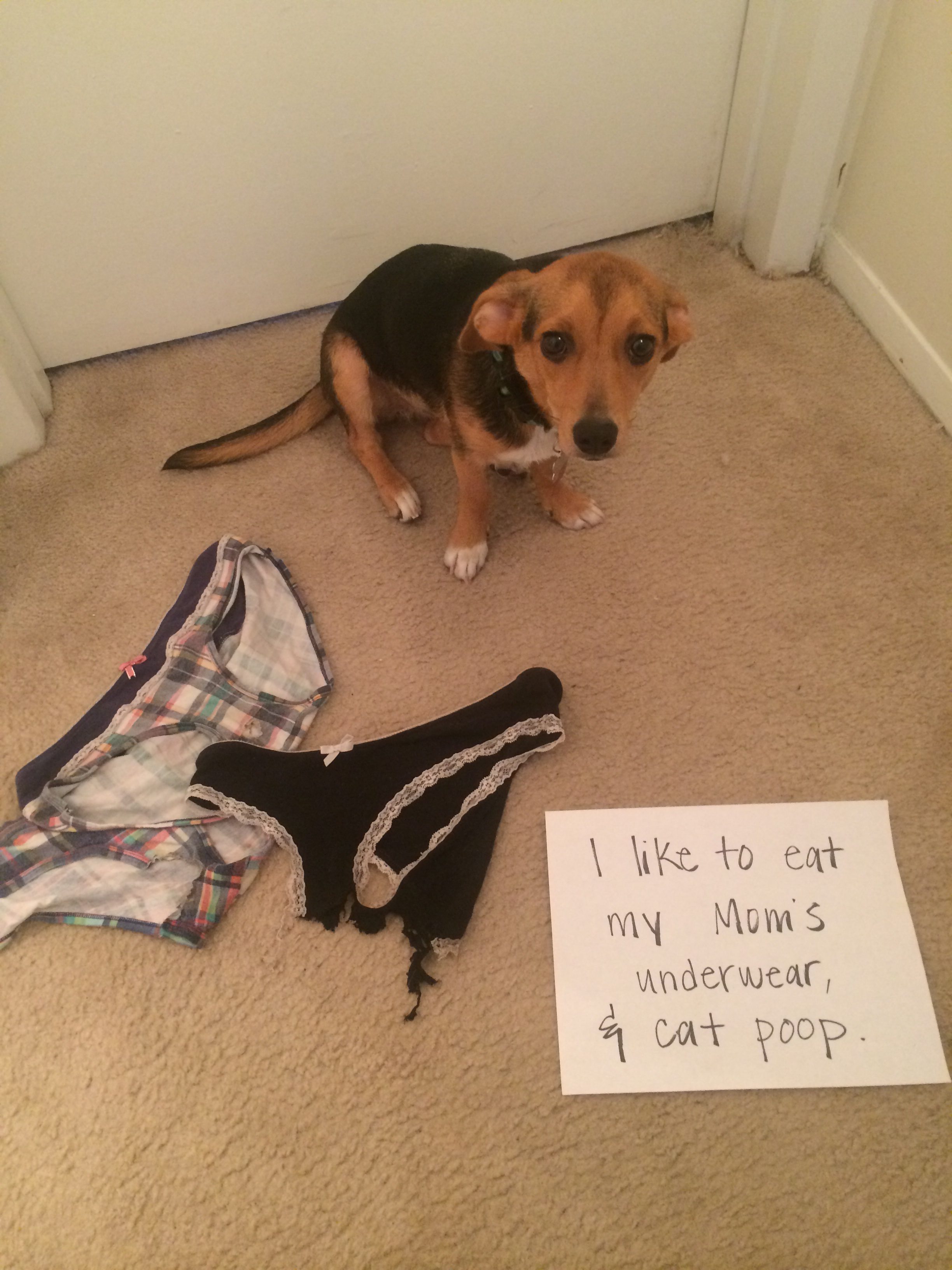 Mom's Panties