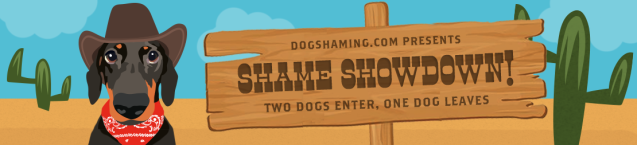 shameshowdown