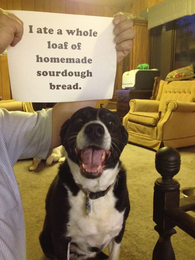 Lucy-and-bread