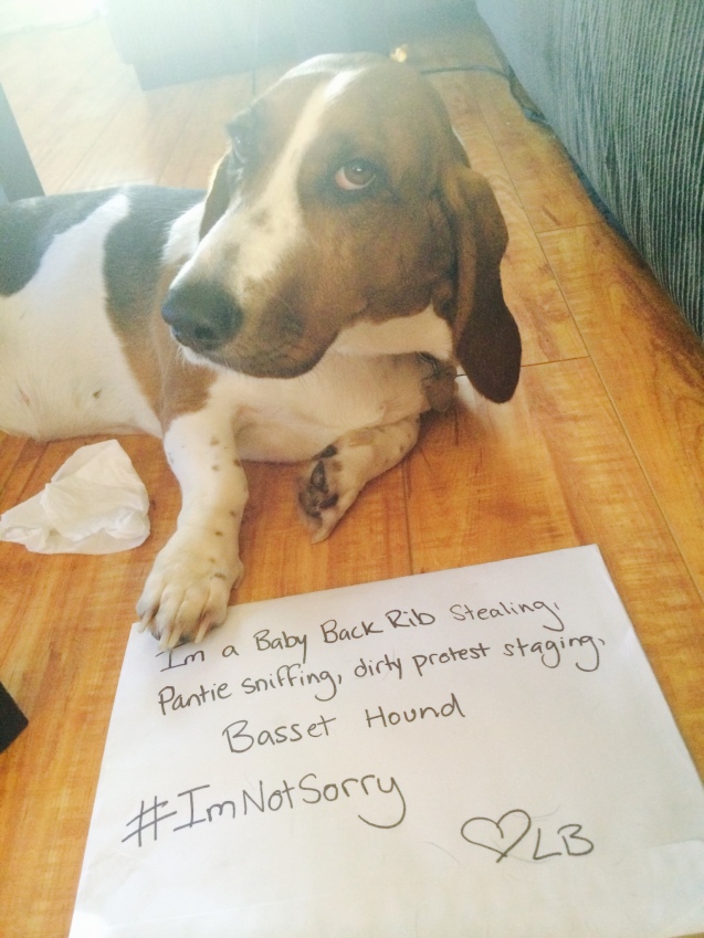 dog-shaming