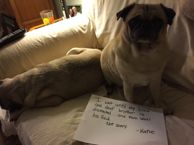 2014-12-17-Katie-shaming-004